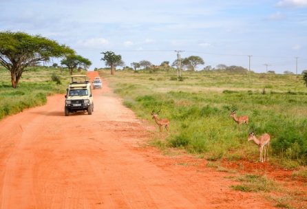 Land buying in Kenya